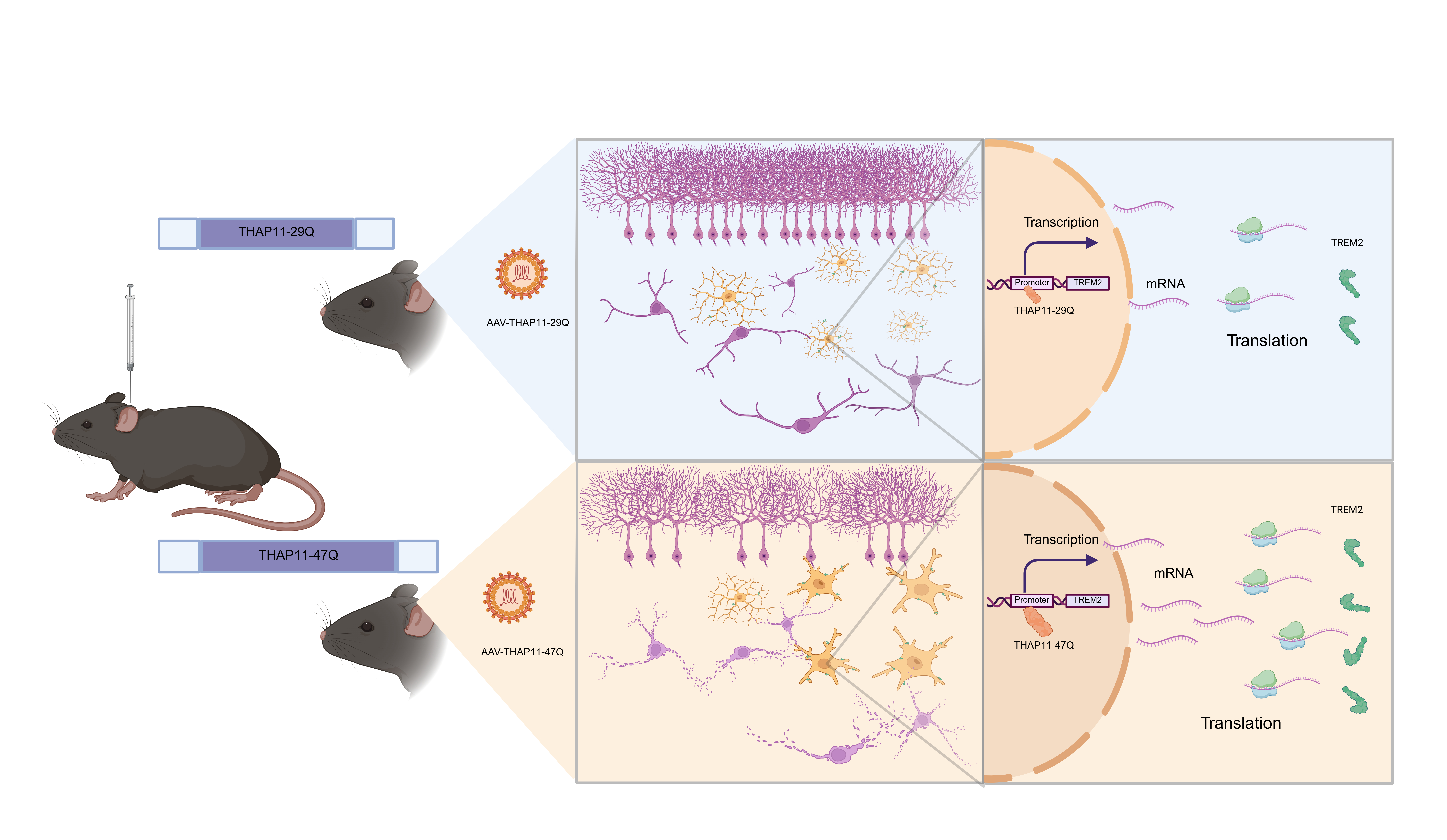 文章總結圖 配圖2