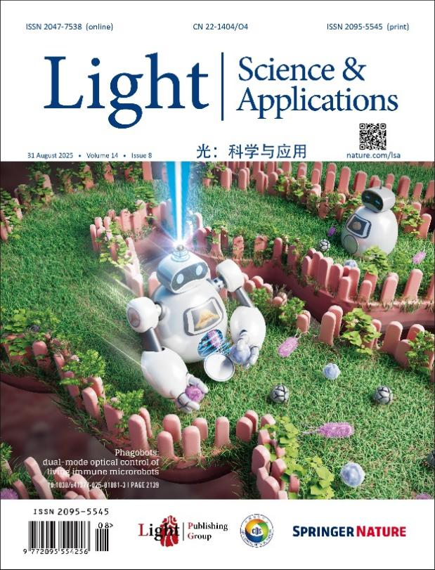 論文封面圖片。 配圖1